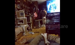 Dog manages to carefully navigate through house with huge stick