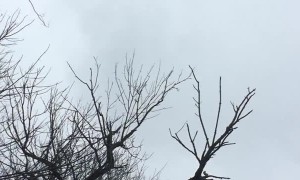 Dad Discovers Daughter Covered in Chocolate