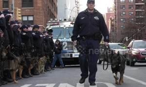 US police dog put down after exemplary life of service