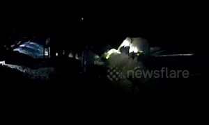 Herd of elephants refuses to leave calf that fell into a ditch in India