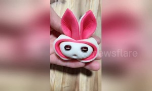 Creative cook makes uniquely shaped Chinese pastries