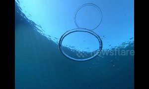 Mesmerising footage of bubble rings colliding in slow motion