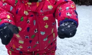 Strange White Stuff Falling from the Sky