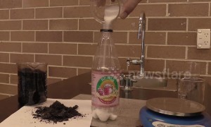 Teacher shows just how much sugar is in school canteen fizzy drink - and the results will scare you