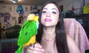 Animal lover shares her home with 90 pets