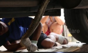 Driver worst nightmare! Python caught hiding under pick-up truck