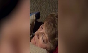 Dog and Owner are both SO Sleepy!