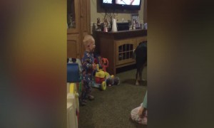 Little Girl makes Baby Brother Laugh!