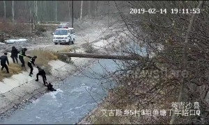 Police form human ladder to rescue teen boy washed away in river