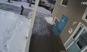 Security Camera Sees Sister-in-Law Slipping