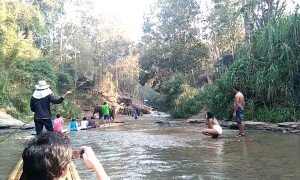 Elephant Flips Raft