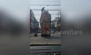 Passenger scales car with furniture stacked 20ft high to clear power lines