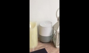Google Home Device Gives Bizarre Answer To Animal Question