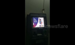 Indian man finds cobra on top of ATM machine