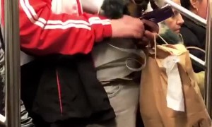 An Average Day on the Subway