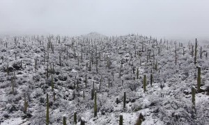 Breathtaking Footage of Snowfall in the Desert