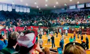 Bull Tosses Contestants During Cowboy Pinball