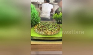 Is that on the menu? Rare pancake-like frog displayed at Taiwan cafe
