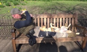 Dog sunbathes belly-up in London park as capital hit by hottest February days on record