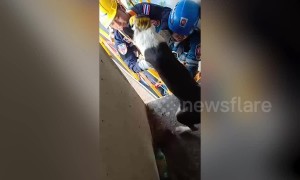 Incredible moment stranded dog is rescued from 165ft high concrete motorway pillar in Bangkok