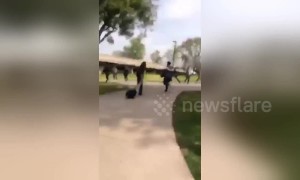 Terrifying moment report of gunfire causes mass panic at San Diego college