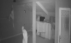 Grandmother Chases Burglar off with a Broom