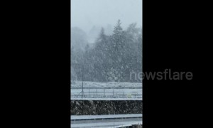 Flurries of snow cover Northumbria in wintry scenes