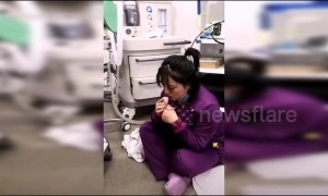 Heroic vet gives CPR to dying kitten to bring it back to life