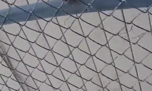 Breaking Out of a Boarded Up House