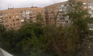 Creature Crawls Across Apartment Buildings