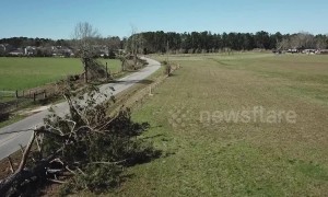 Trees felled, buildings destroyed after Alabama tornado leaves 23 dead