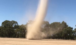 Dust Devil Slowly Moves Across Pasture