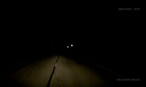 Close Call For Animal Crossing the Road in Russia