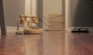 This Little Girl Loves the Telephone