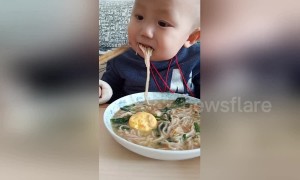 Two-year-old boy uses chopsticks like a pro