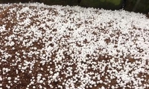 Severe gales pummel parts of UK as super-sized hail hits Oldham