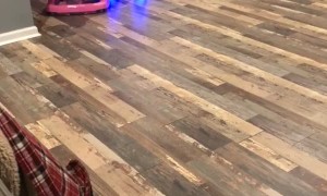 Hoverboard Powered Baby Racing