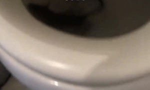 Chinatown Toilet has a Rat in it