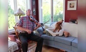 Puppy and Owner make Music Together!