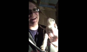 Adorable newborn baby goat has a lot to say