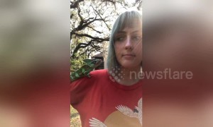 Naughty Chameleon hilariously shocks owner with surprise kiss