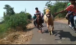 Astonishing moment Indian jockey manages to get back on saddle after falling from his horse