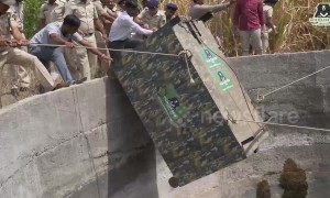 Tiny leopard cub rescued from certain death in village well