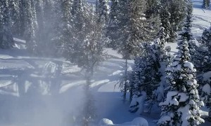 Dude Ditches Sled to Avoid Tree