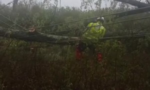 Power Line Throws Log like a Twig