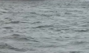 High Water Causes Trouble for Tugboat