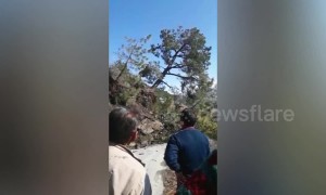 The hills are alive! Landslide footage shows hillside slowly swallow road in north India