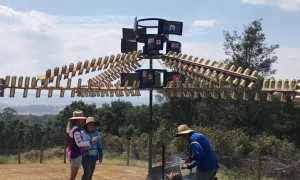 Cooking With the Power of the Wind