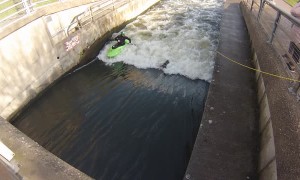Goose Stuck in White Water Course