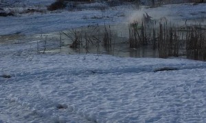 Snowmobiling Across Thin Ice
